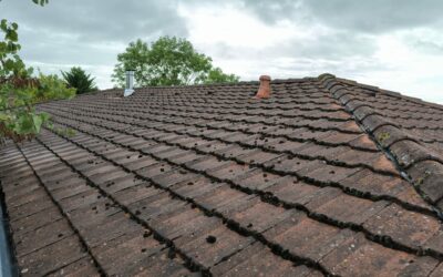 Traitement des tuiles dans l’Indre : préserver durablement votre toiture grâce à un entretien raisonné