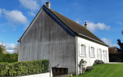 Encrassement végétal des façades : quelles sont les causes et comment agir efficacement ?